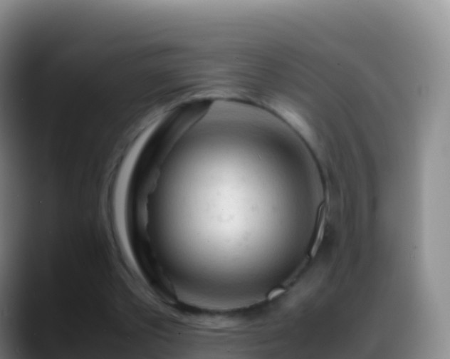 X0000088910389200706151910