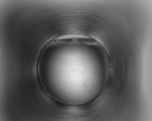 X0000088910390200706151910