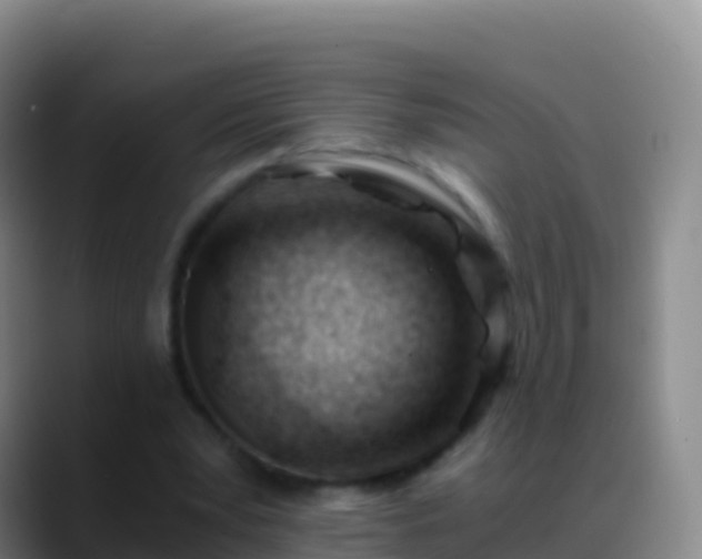 X0000088910391200706151910