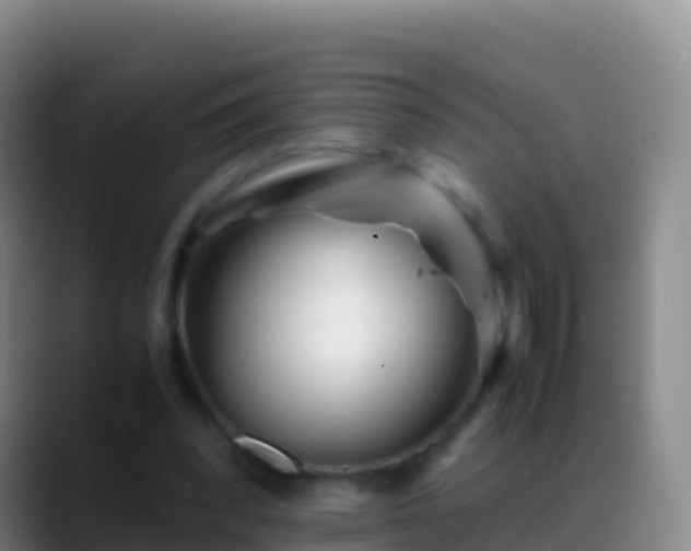 X0000088910392200706151910