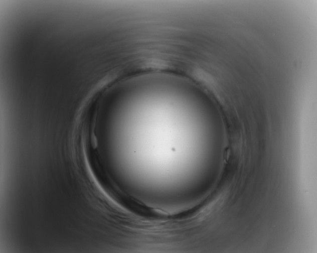 X0000088910395200706151910
