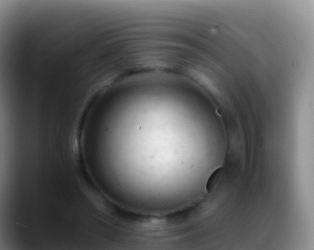X0000088910398200706151910