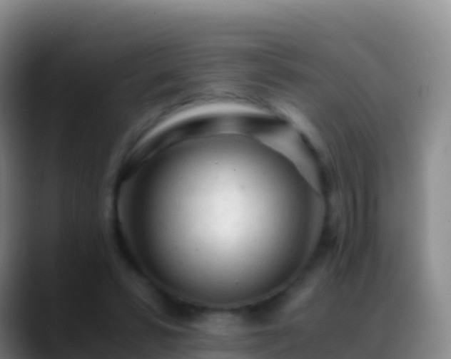 X0000088910399200706151910