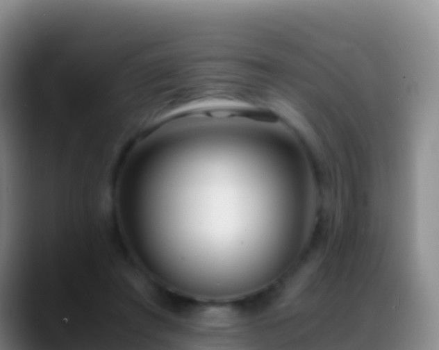 X0000088910401200706151910