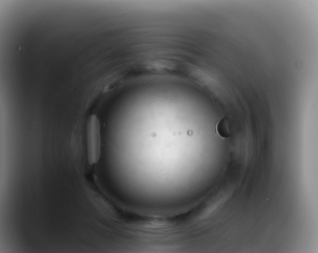 X0000088910402200706151910