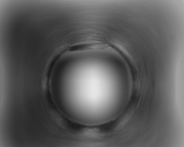 X0000088910403200706151910