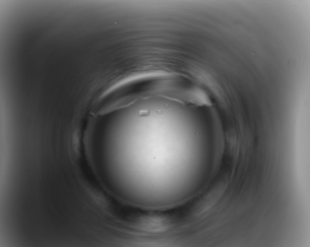 X0000088910404200706151910
