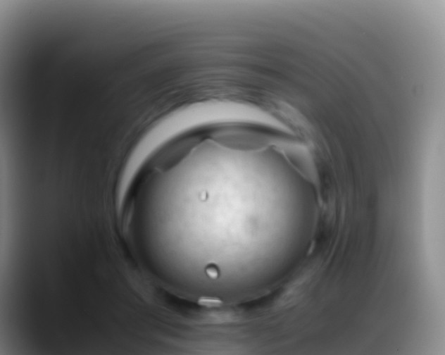 X0000088910405200706151910