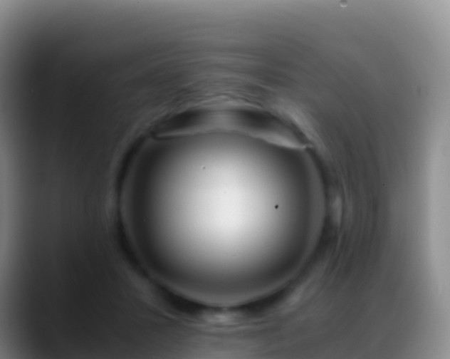 X0000088910407200706151910