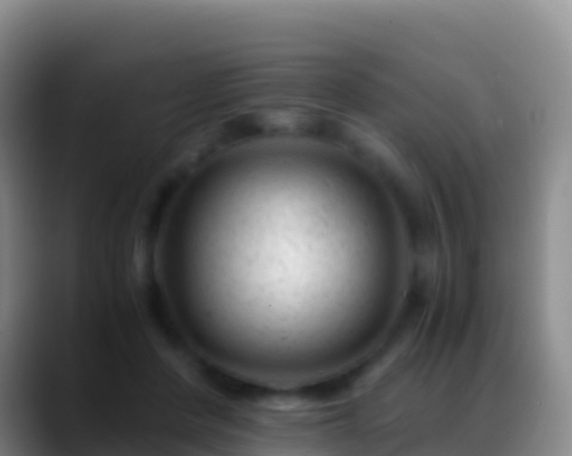 X0000088910408200706151910