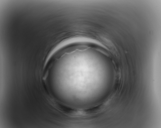 X0000088910409200706151910
