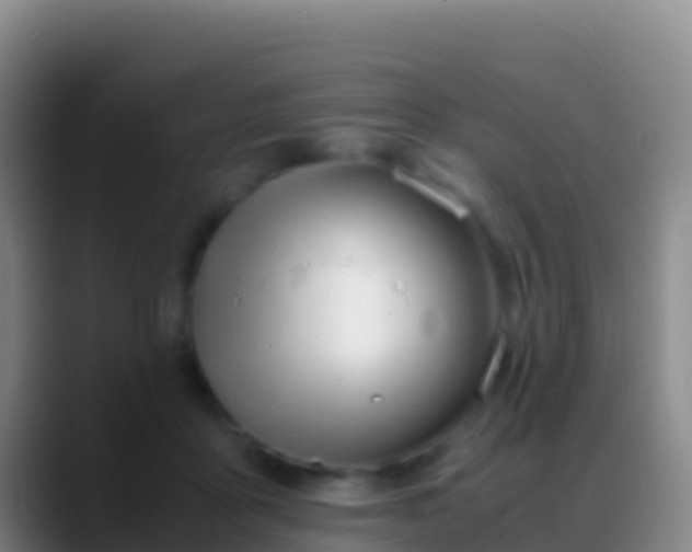 X0000088910411200706151910