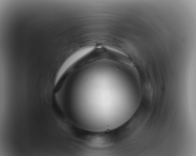 X0000088910412200706151910