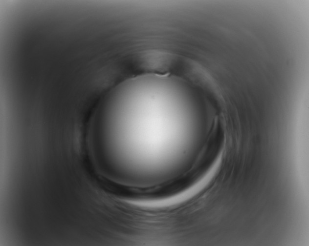 X0000088910416200706151909