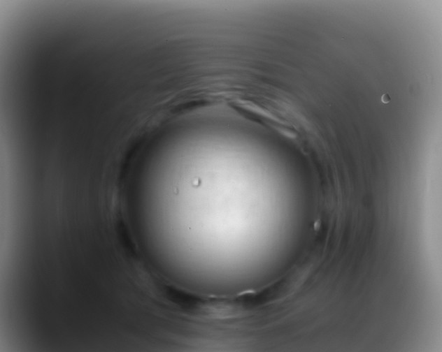 X0000088910417200706151909