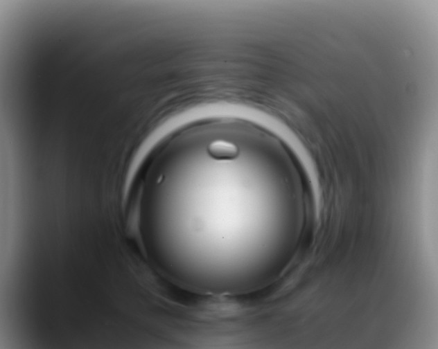 X0000088910421200706151909