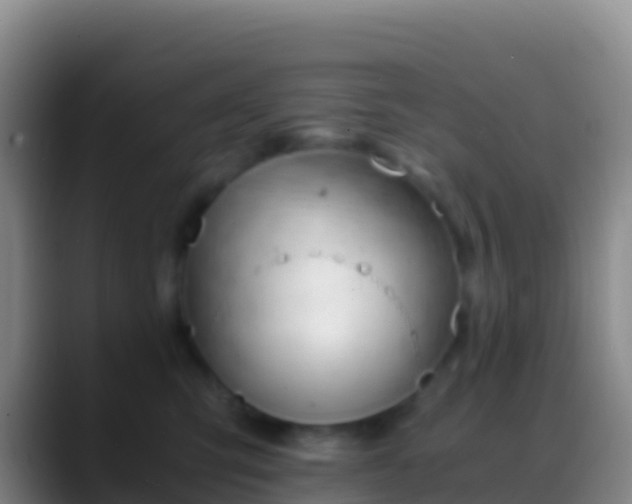 X0000088910423200706151909