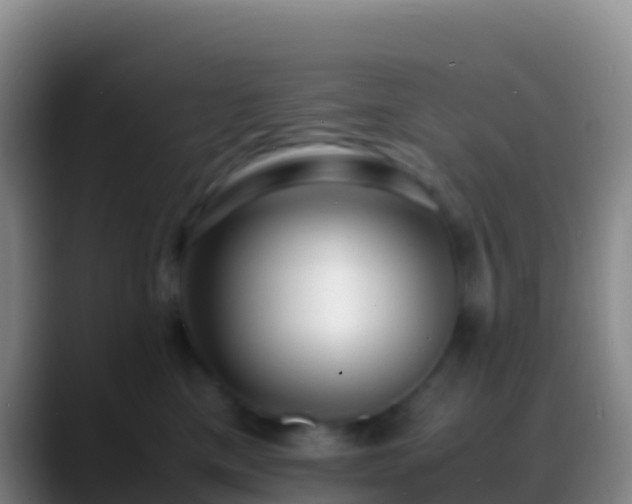 X0000088910425200706151909