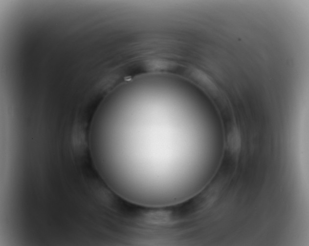 X0000088910426200706151909