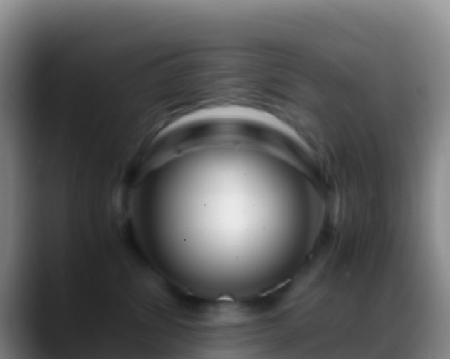 X0000088910428200706151909
