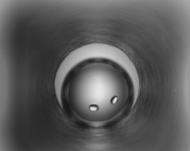 X0000088910429200706151909