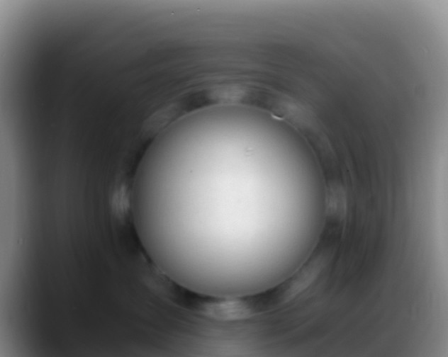X0000088910431200706151909