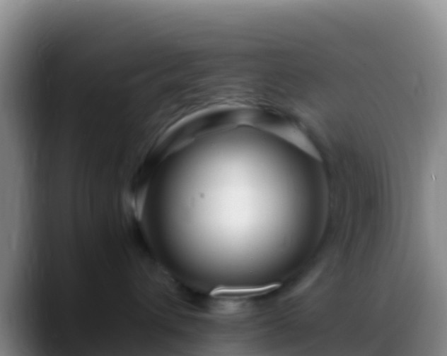 X0000088910432200706151909