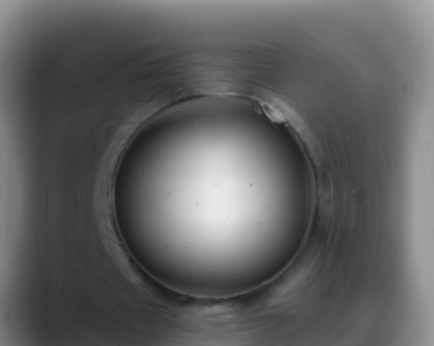 X0000088910433200706151909