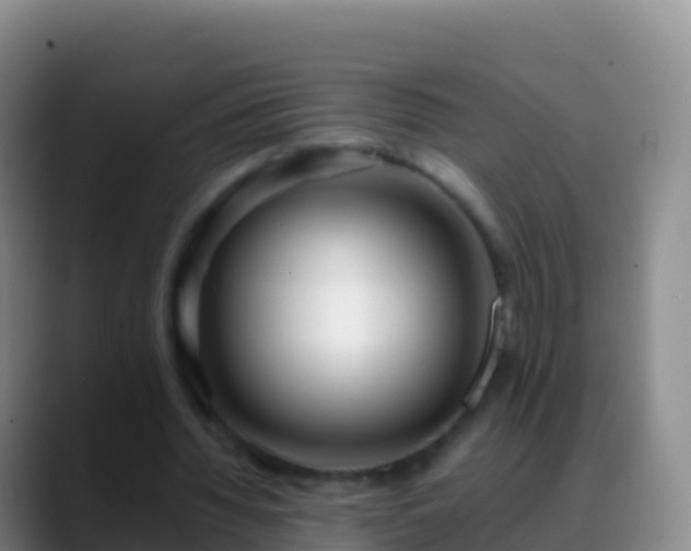 X0000088910436200706151909