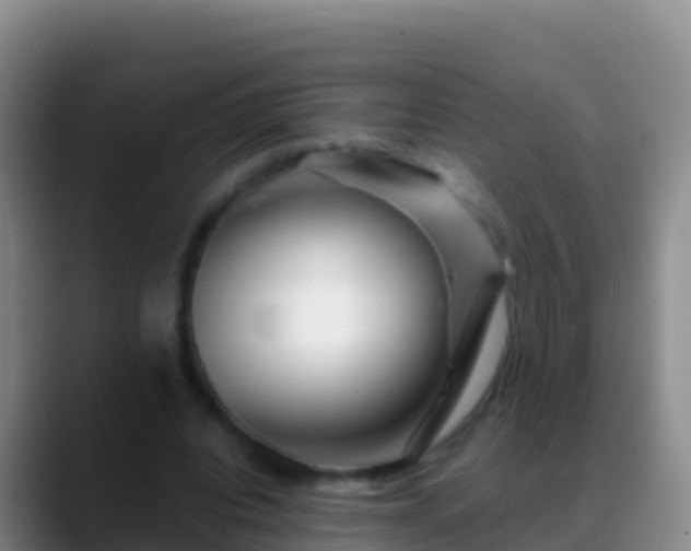 X0000088910440200706151909