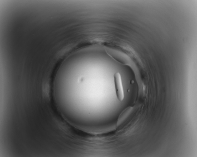 X0000088910444200706151909