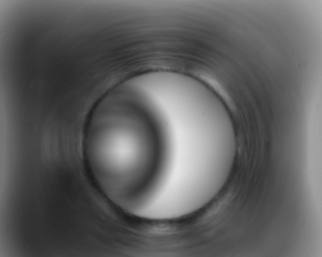 X0000088910445200706151909