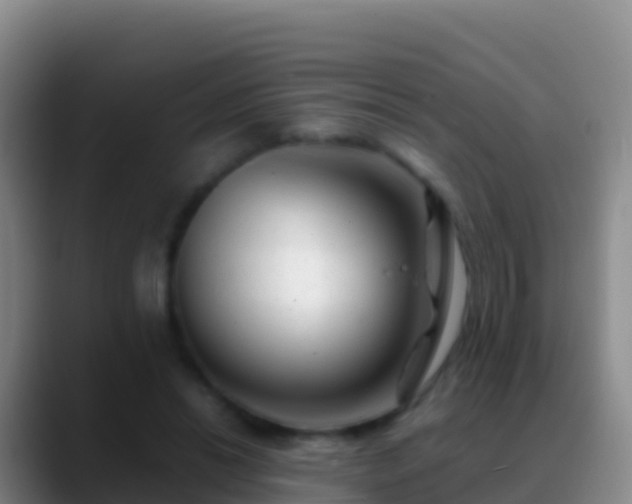 X0000088910446200706151909