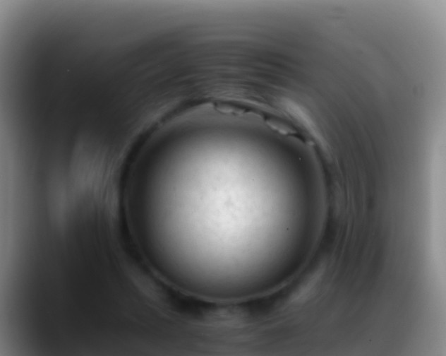 X0000088910447200706151909