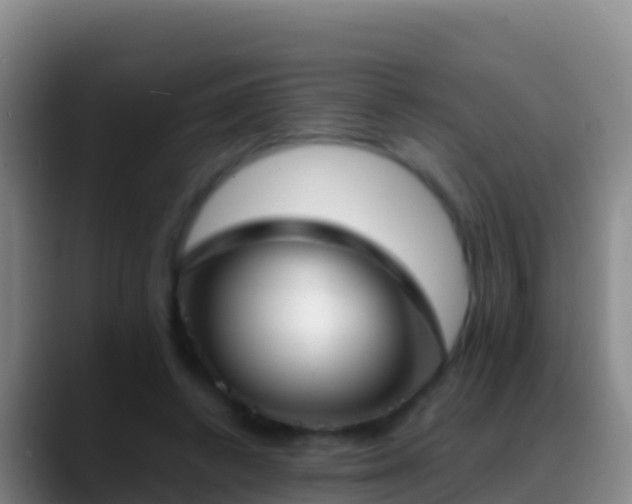 X0000088910448200706151909