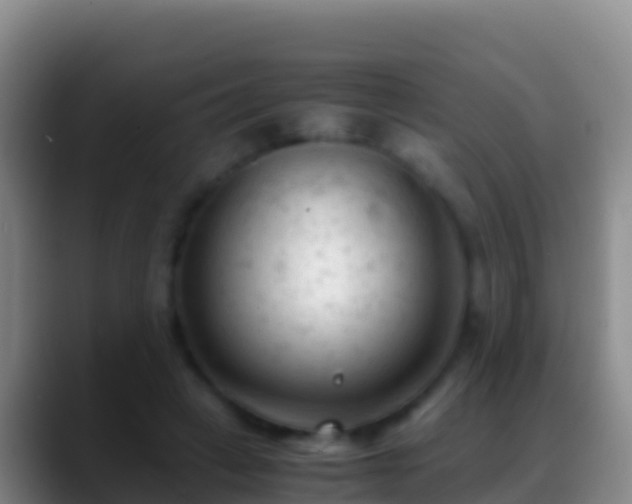 X0000088910449200706151909