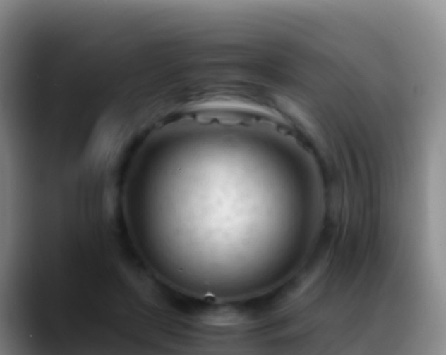 X0000088910451200706151909