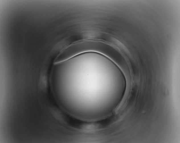 X0000088910452200706151909