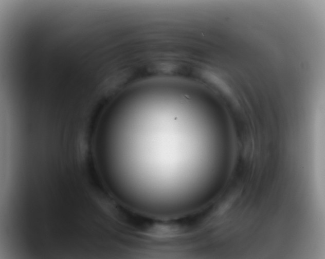 X0000088910455200706151909