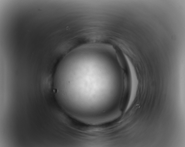 X0000088910458200706151909