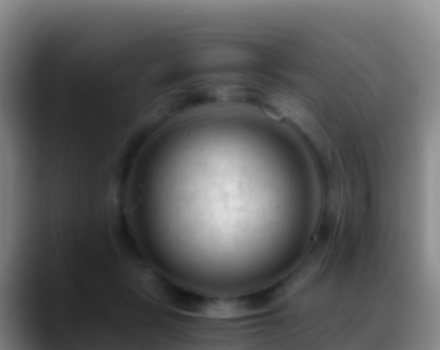 X0000088910461200706151909