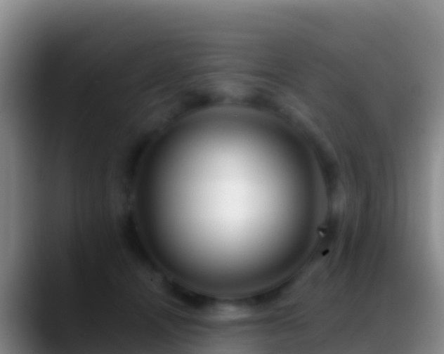 X0000088910464200706151909