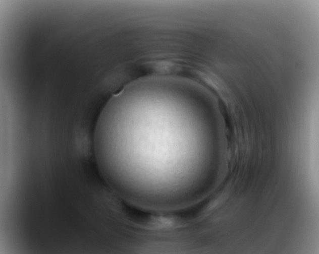 X0000088910469200706151909