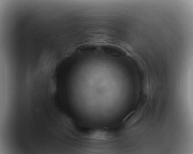 X0000088910471200706151909