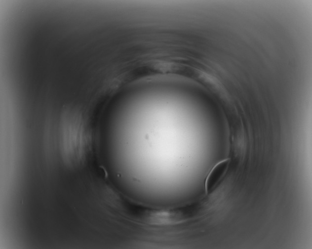X0000088910473200706151909