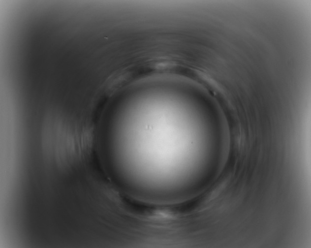 X0000088910475200706151909