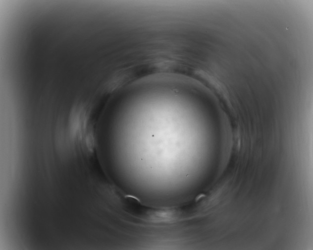X0000088910479200706151909
