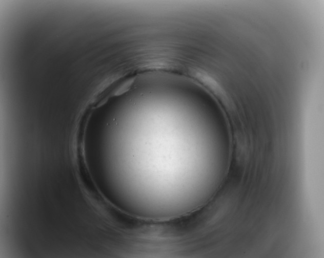 X0000088910482200706151909