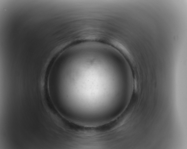 X0000088910483200706151909