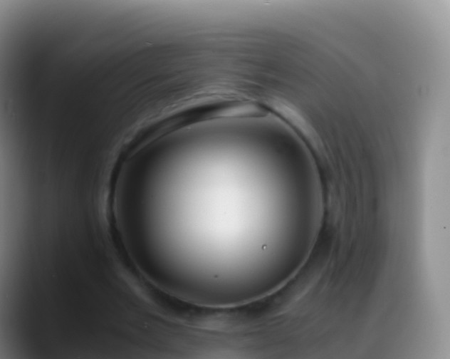 X0000088910485200706151909